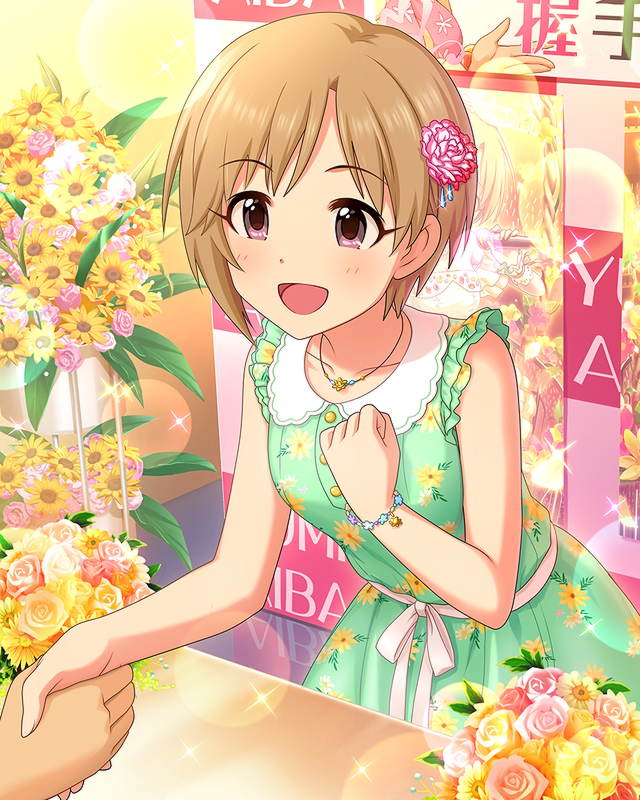 gikutas direct skima